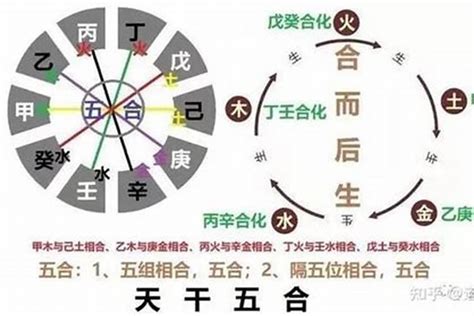 八字乙木|八字十天干详解——乙木